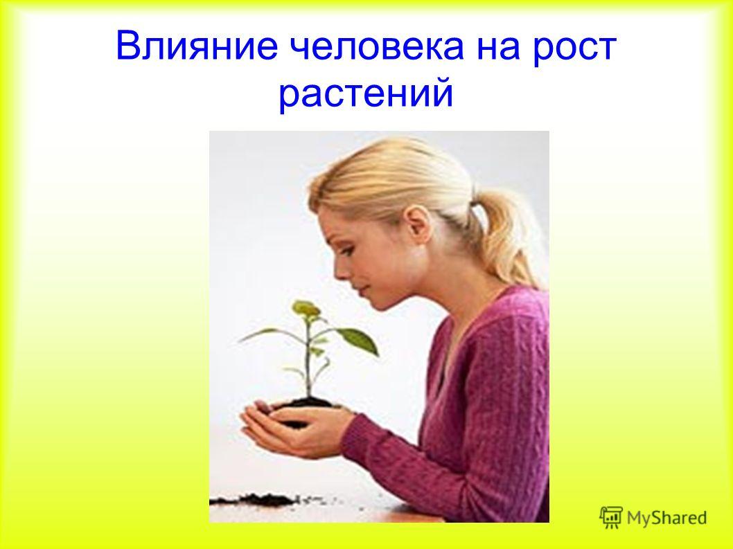Презентация на тему: 