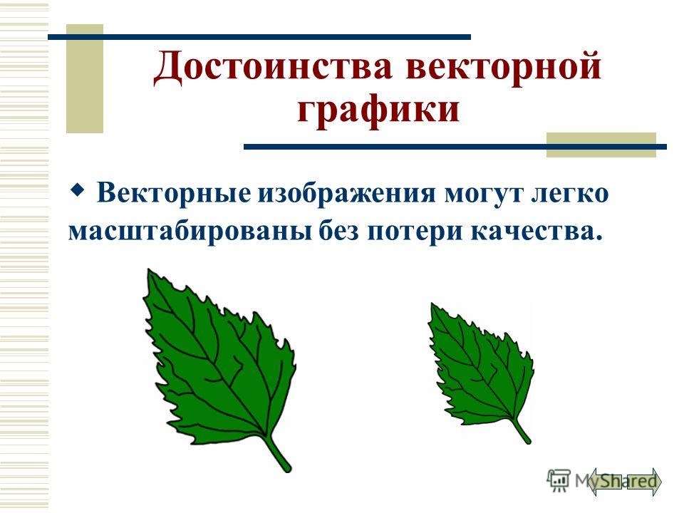 Векторное изображение это рисунок представленный из базовых элементов рисунок