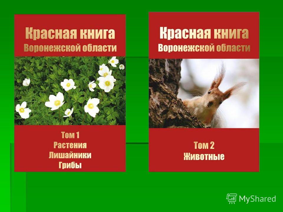 Проект красная книга животных воронежской области Красная Книга Воронежской области online presentation