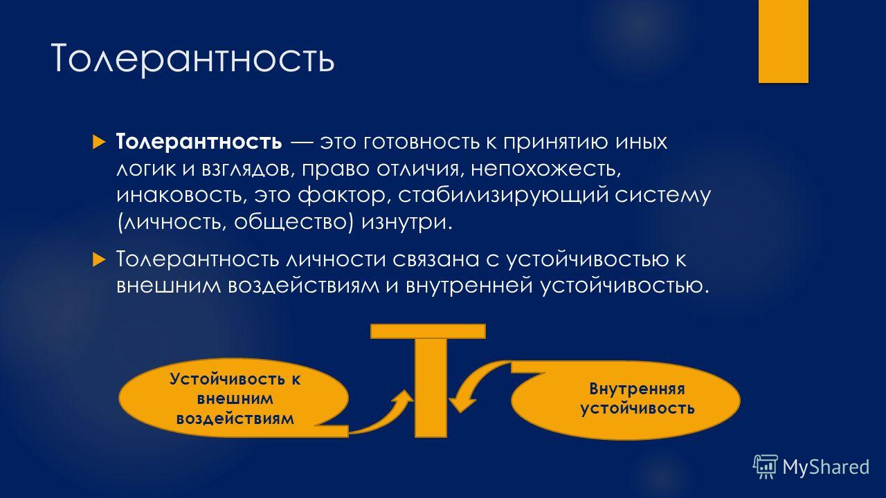 Толерантность-терпимость по отношению к иному мнению Толерантность-терпимость по отношению к иному мнению