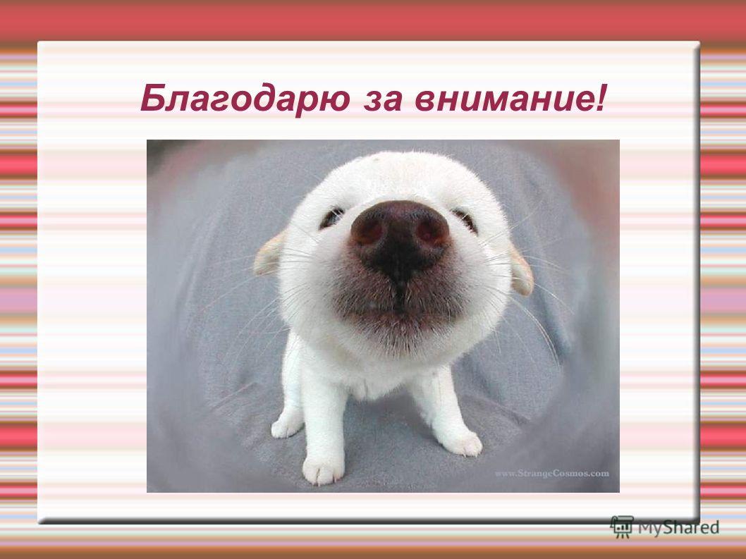 Презентация Народы Восточной Европы - скачать бесплатно pptx
