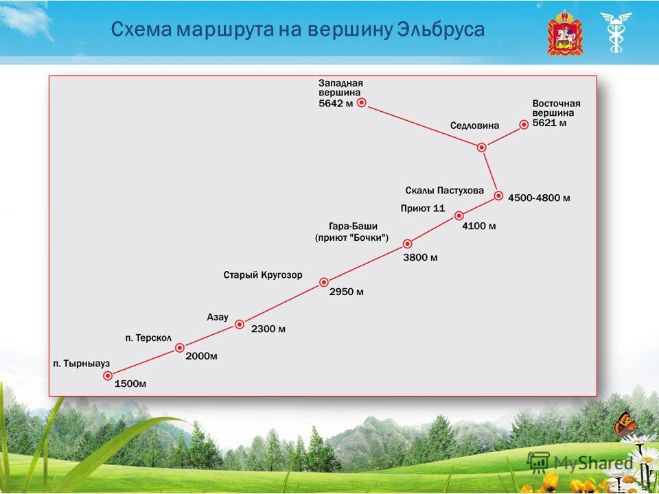 Кавалетти и клавиши - основы основ
