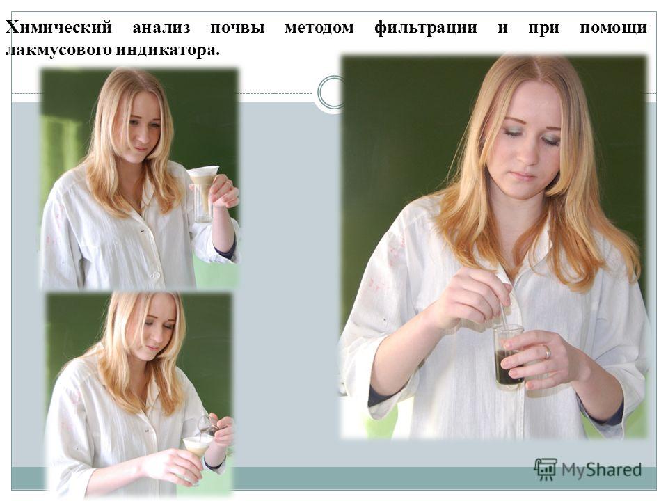 Планировка цветников и посадка цветов 34