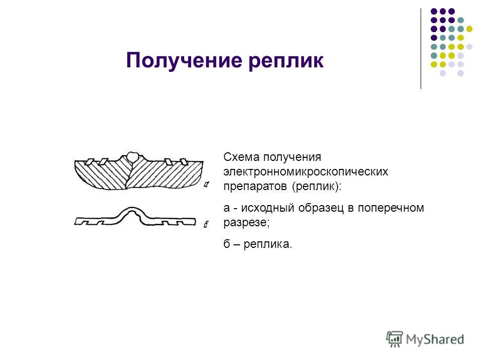 Получение реплик Схема получения электронно микроскопических препаратов (реплик): а - исходный образец в поперечном разрезе; б – реплика.