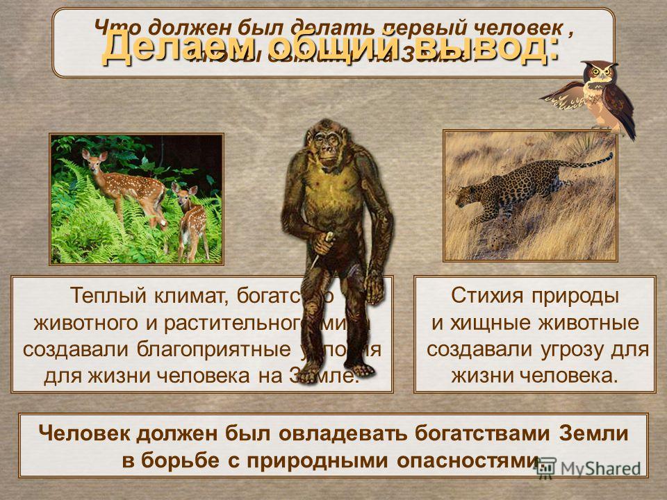 Ответственность в хозяйственных отношениях это Ответственность в хозяйственных отношениях это