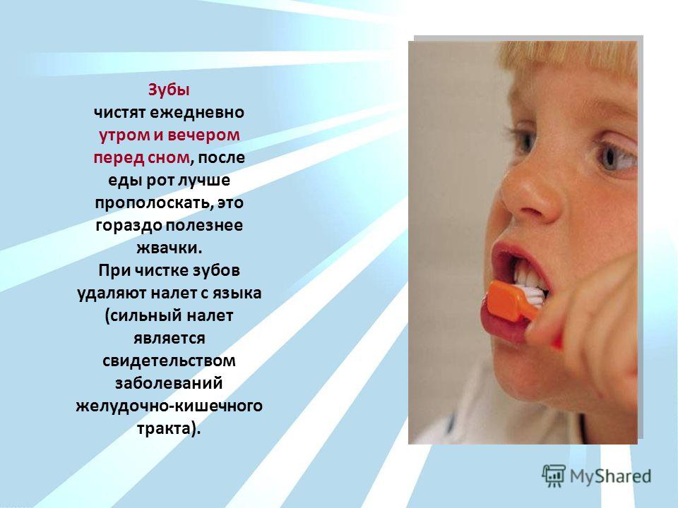 Зубы чистят ежедневно утром и вечером перед сном, после еды рот лучше прополоскать, это гораздо полезнее жвачки. При чистке зубов удаляют налет с языка (сильный налет является свидетельством заболеваний желудочно-кишечного тракта).