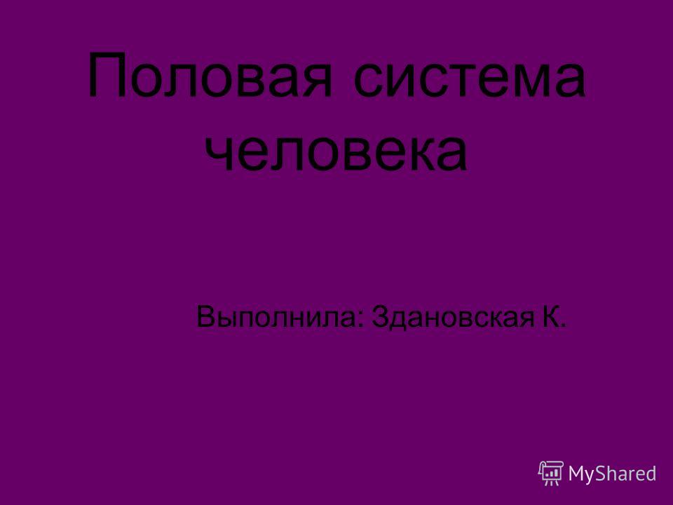 Реферат На Тему Половая Система Человека Реферат На Тему Половая Система Человека