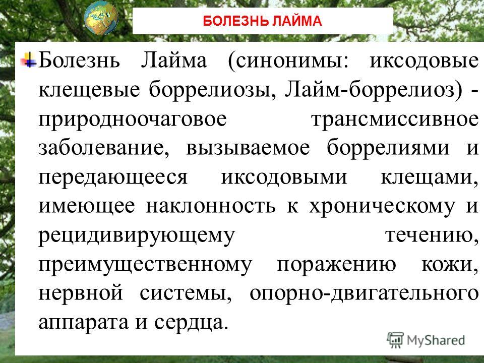 Реферат На Тему Болезнь Лайма Реферат На Тему Болезнь Лайма