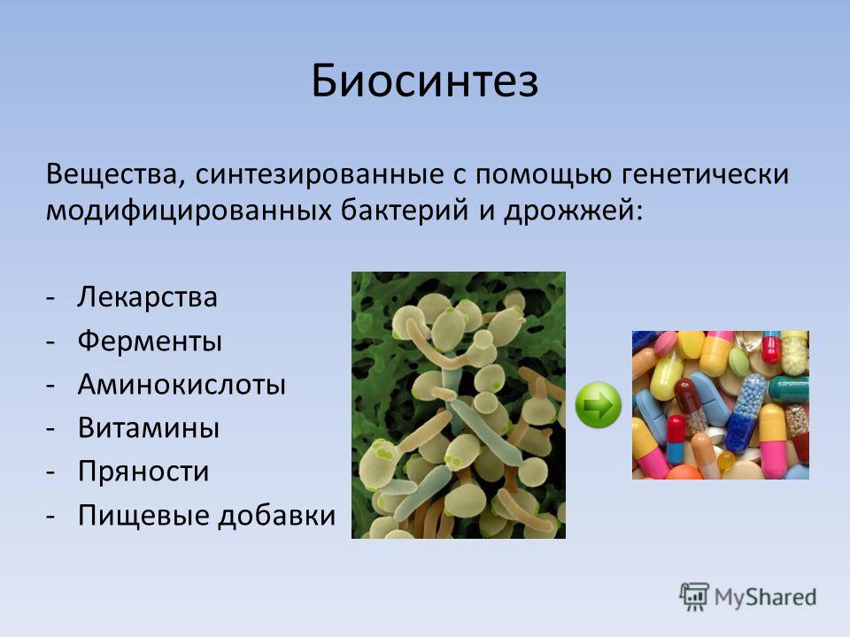 Биосинтез Вещества, синтезированные с помощью генетически модифицированных бактерий и дрожжей: -Лекарства -Ферменты -Аминокислоты -Витамины -Пряности -Пищевые добавки