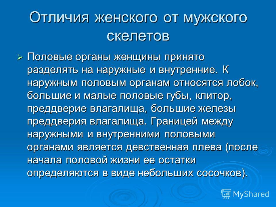 Очень большие половые органы мужчин и женщин