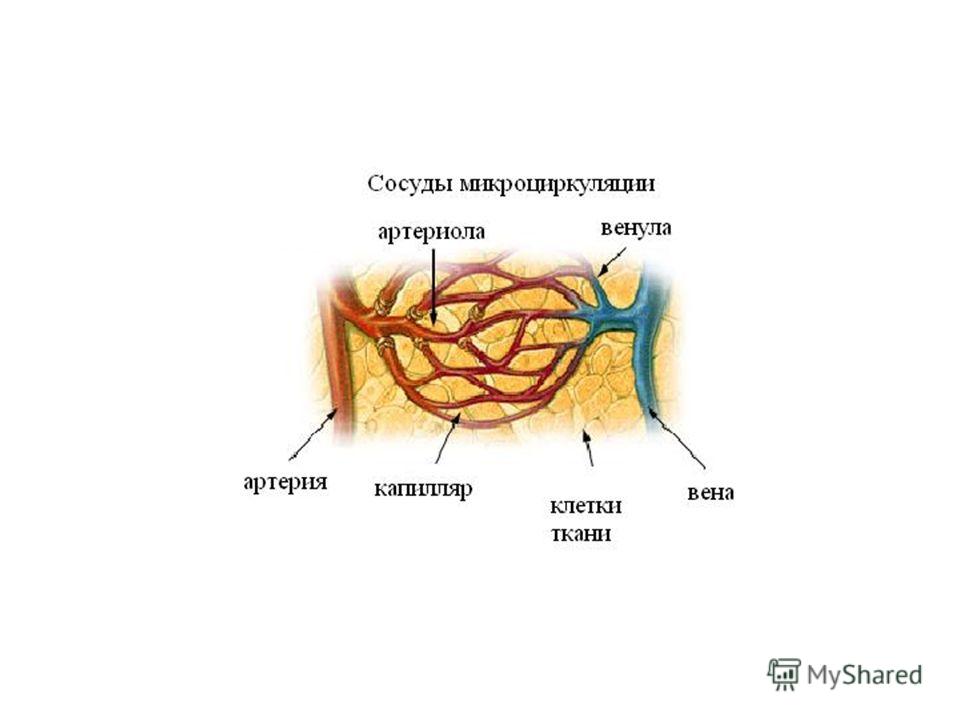 Очень темная кровь из вены
