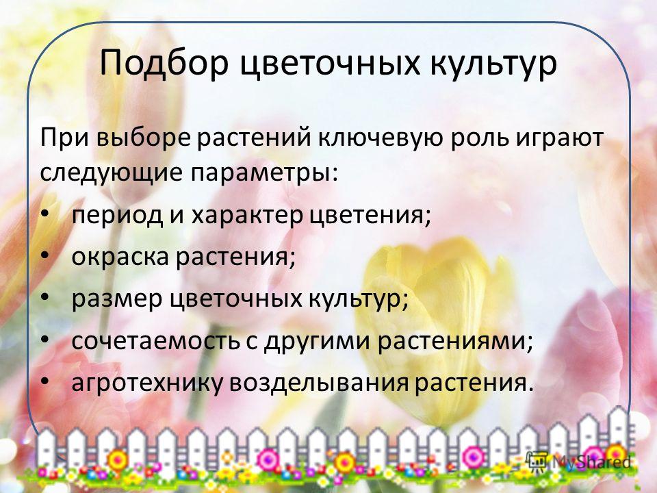 Подбор цветочных растений Подбор цветочных растений
