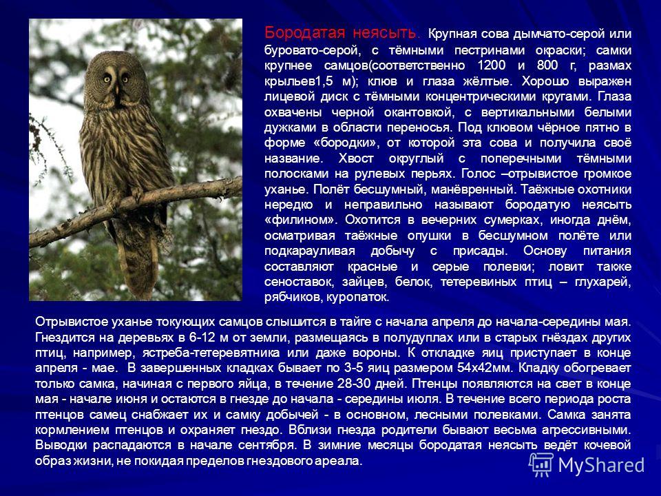 download Музей download Музей в экстремальных условиях (пример Южного