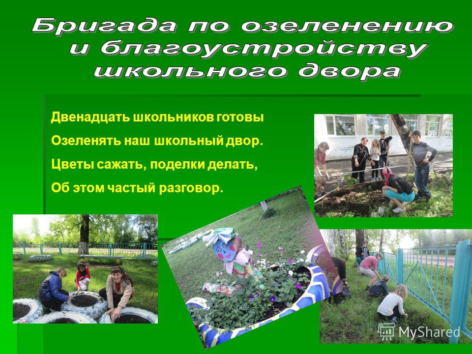 Игры и конкурсы для школьников на природе Игры и конкурсы для школьников на природе