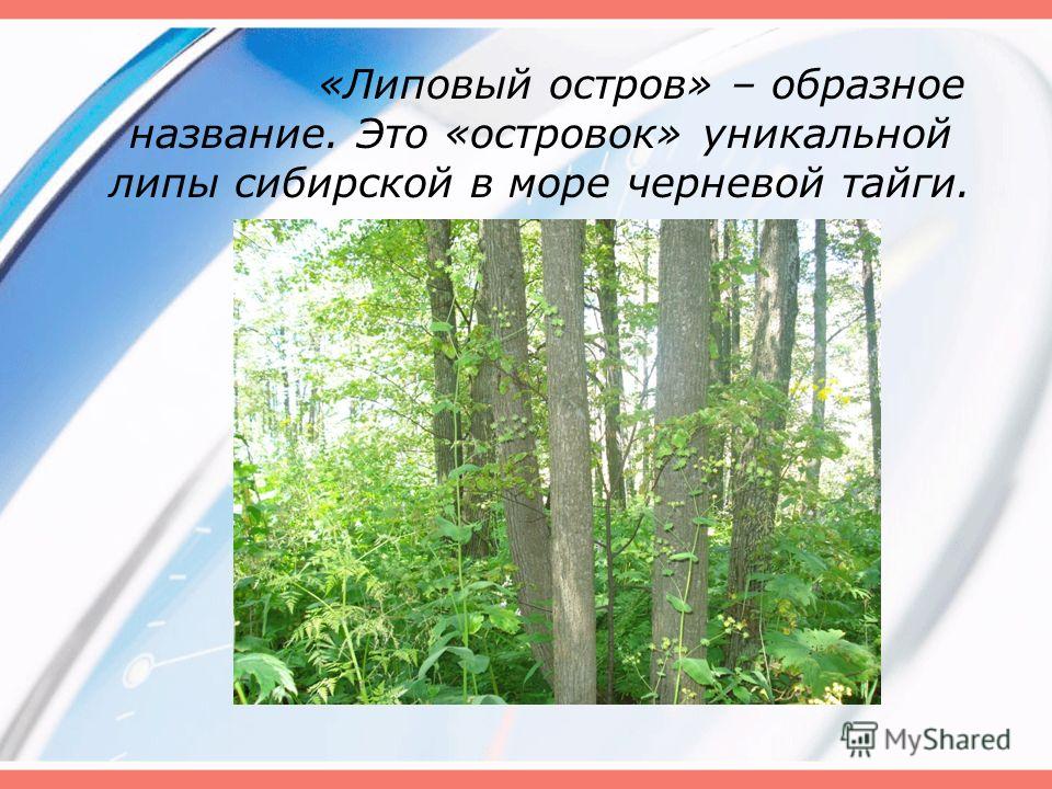 Где находится липовый остров Презентация липовый остров