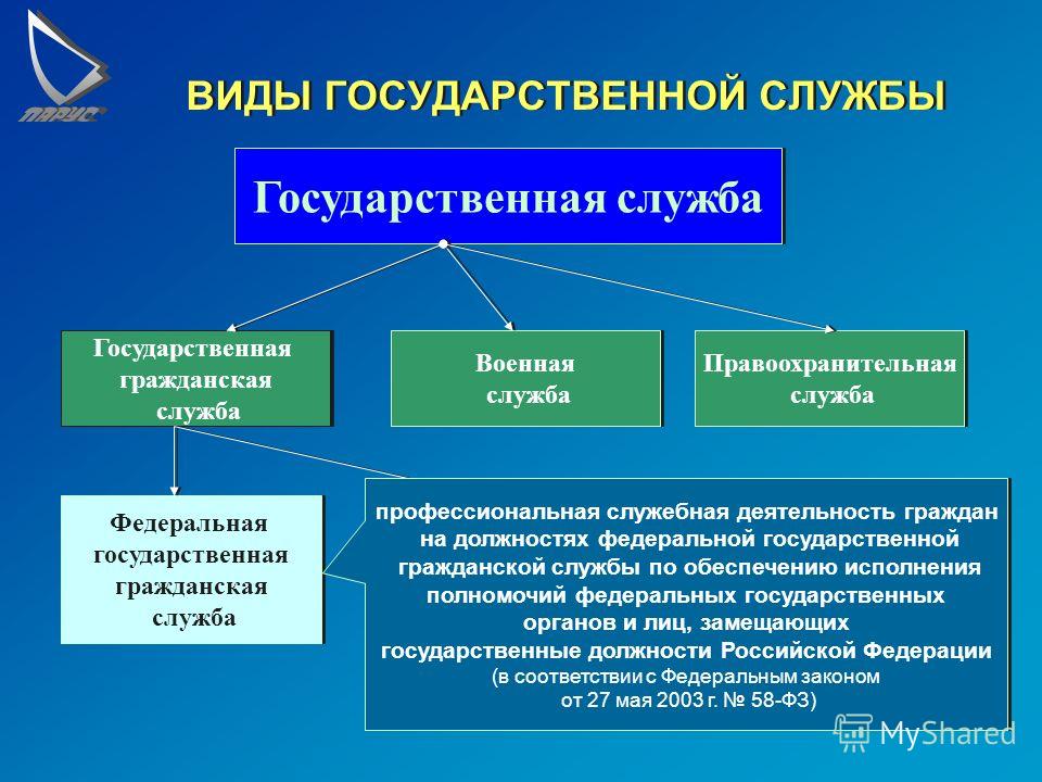 Контрольная работа по теме Государственная служба субъекта РФ: понятие, категории, виды