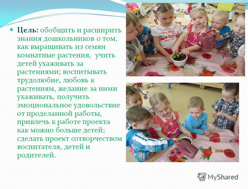 Социально-педагогическая коррекция в группе Социально-педагогическая коррекция в группе