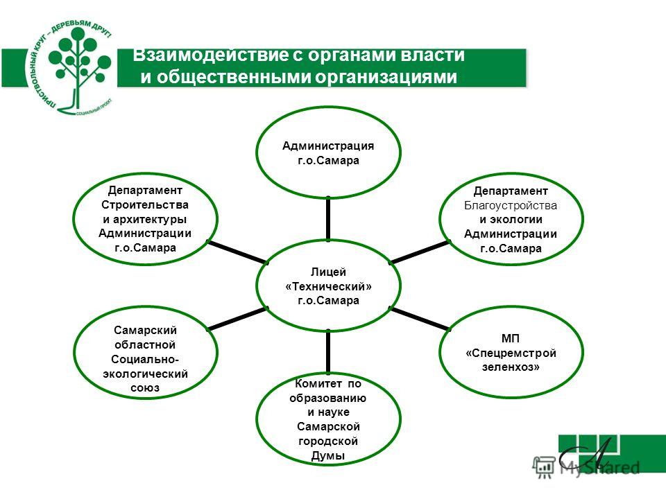 Ано образовательные системы и проекты