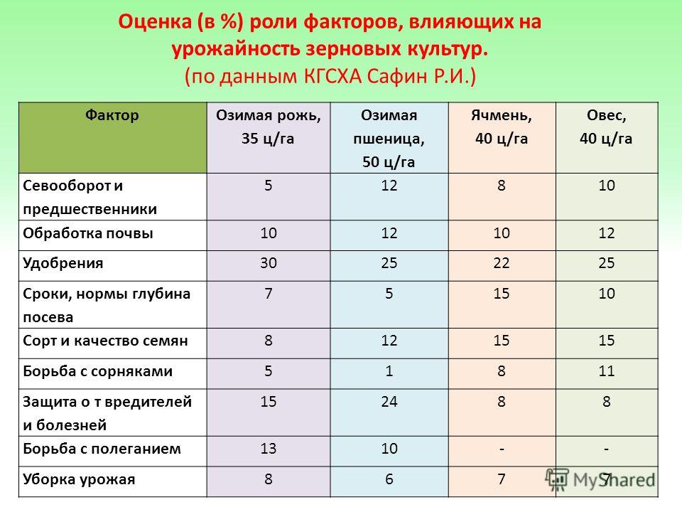 Отзыв о Семена Поиск капуста белокочанная "Вьюга" Дыня прорастает в домашних условиях: основные причины