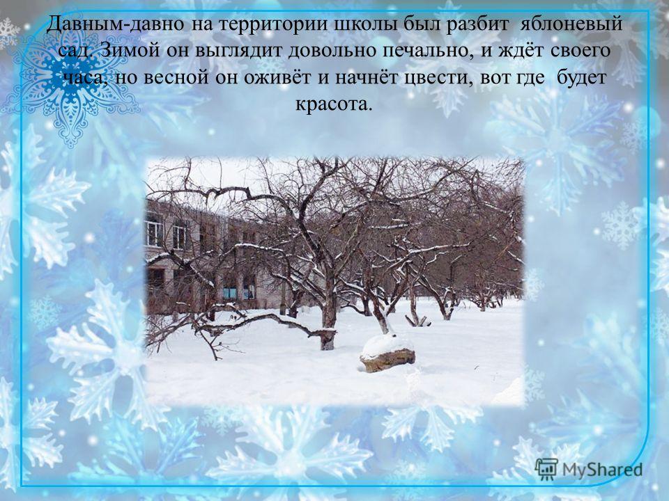 Кормушки в садик Кормушки в садик