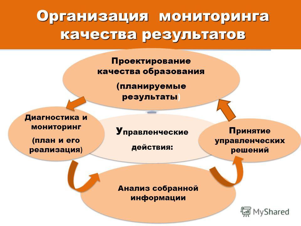 Вышивка бисером картина лев Вышивка бисером картина лев