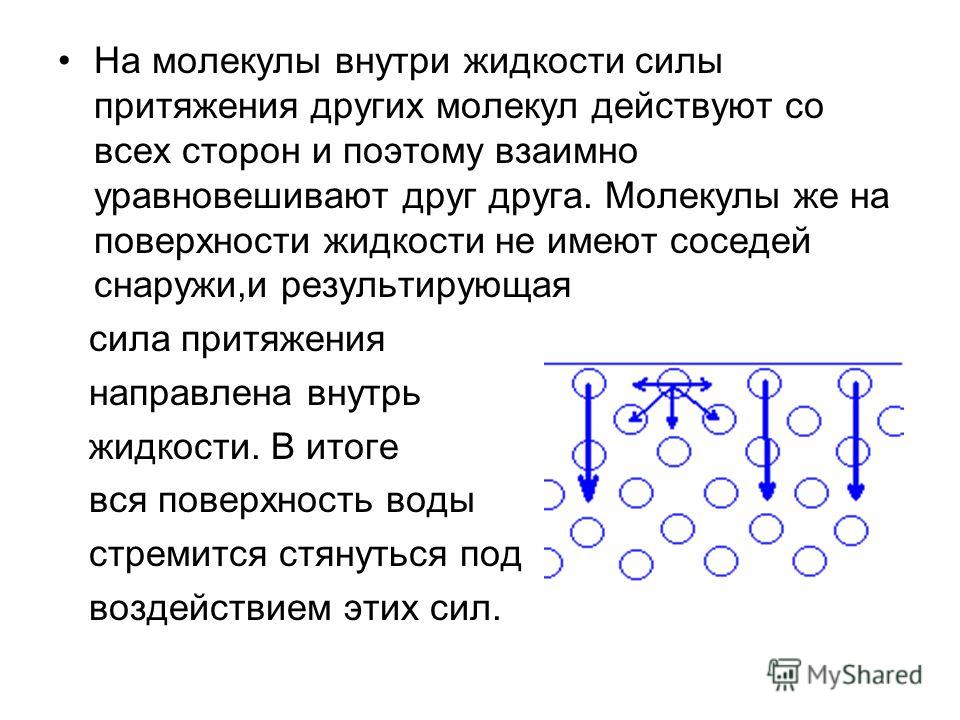 Изменяется взаимное расположение молекул воды Презентация на тему: "Поверхностное натяжение воды Олеся Мухо Гинтаре Юдейкайте 