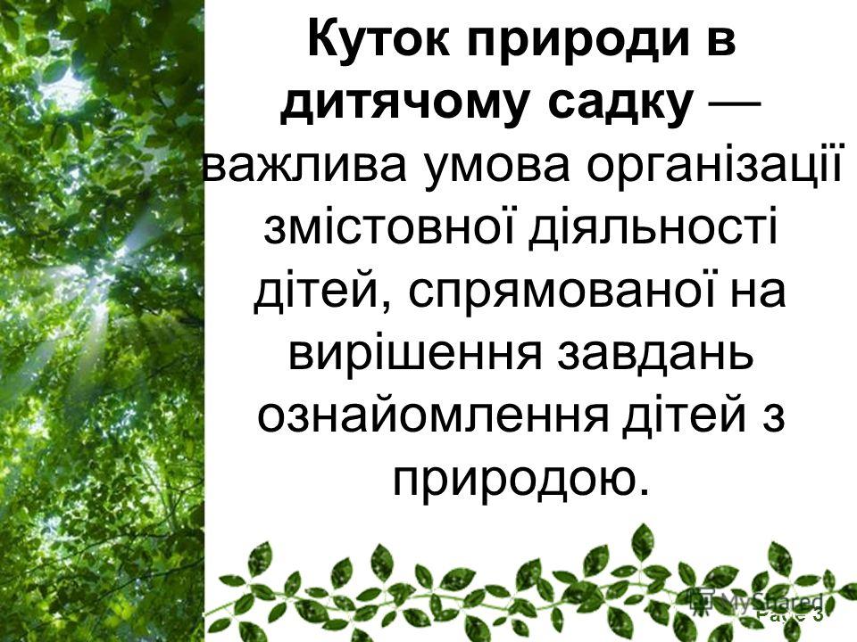 Картинки з природи днз Картинки з природи днз