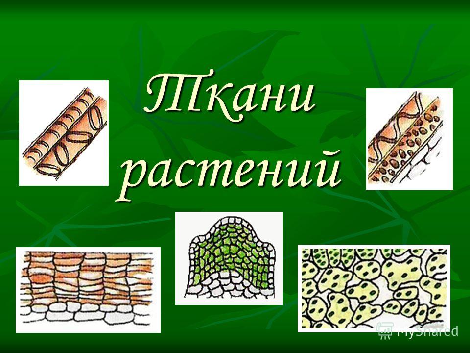 программа для спортзала для мужчин для похудения программа для спортзала для мужчин для похудения