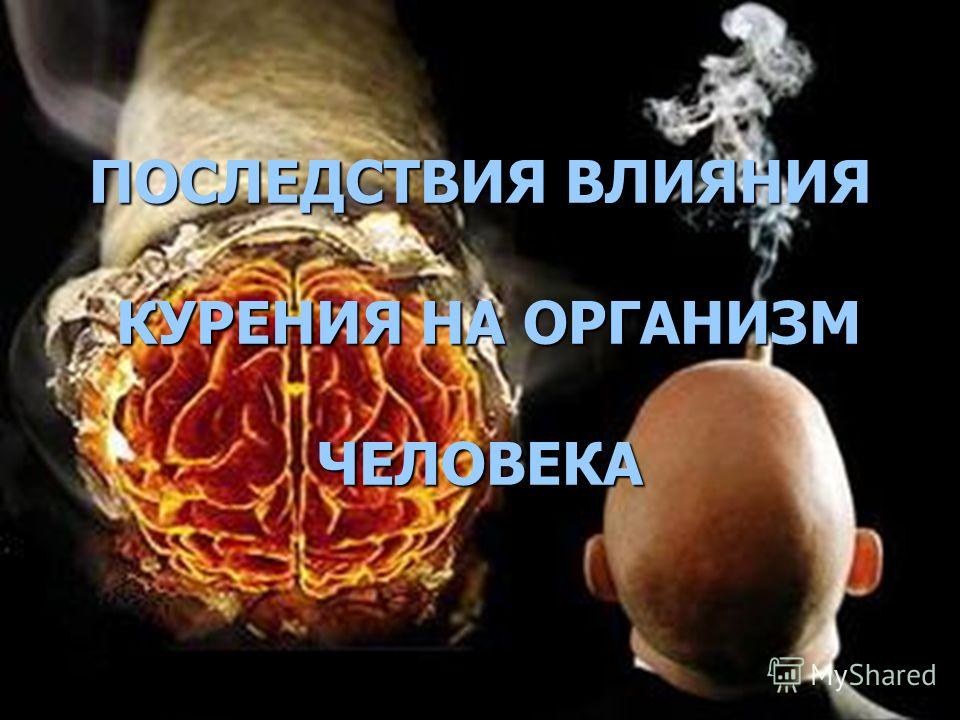 организм человека без паразитов организм человека без паразитов