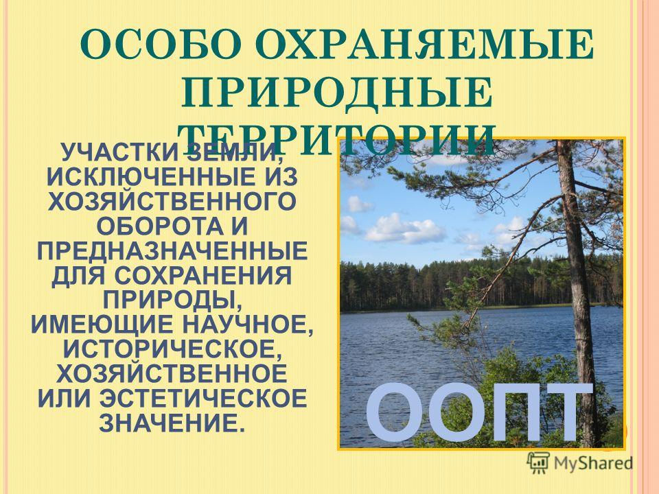 Курсовая работа по теме Особо охраняемые природные территории Нижегородской области Курсовая работа по теме Особо охраняемые природные территории Нижегородской области