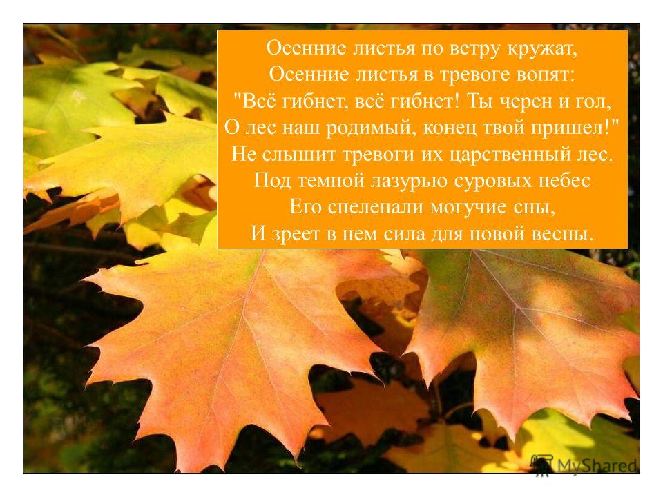 Майков Осенние Листья По Ветру Кружат