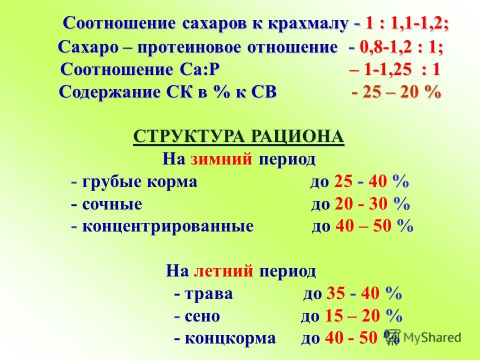 Протеиновое отношение это отношение Протеиновое отношение это отношение