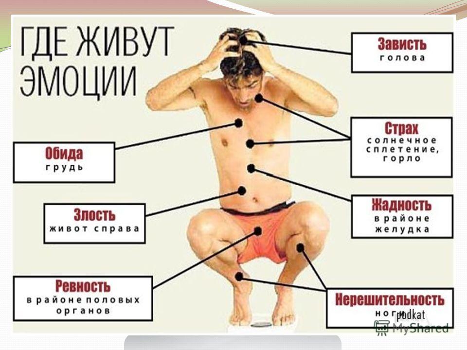 Дизайн квартир 2017. Фото новинки интерьеров Дизайн календарей - Разработка макета календарей