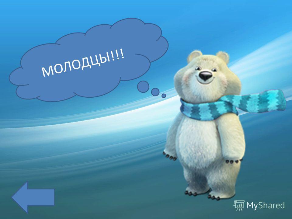 Ивы зимой фото