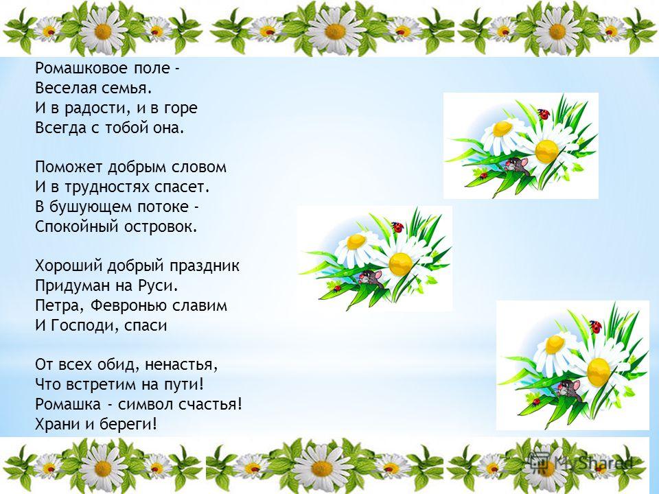 Стих о ромашке как о символе семьи Стих о ромашке как о символе семьи