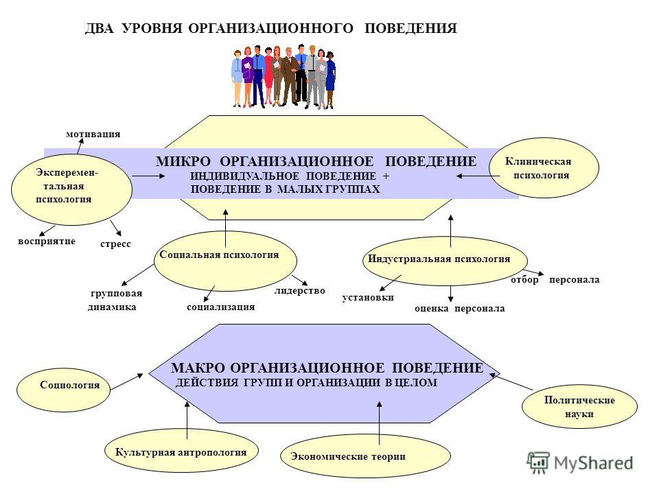 Организационное поведение является самостоятельным подвидом поведения Организационное поведение является самостоятельным подвидом поведения