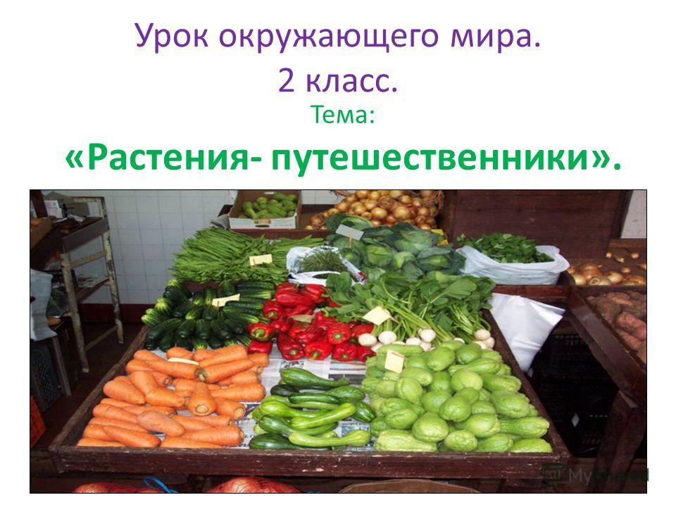 Контрольная работа по теме Ринок картоплі та овочів