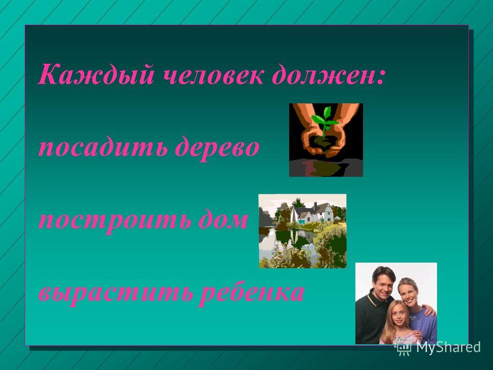 Если каждый человек посадить дерево Если каждый человек посадить дерево