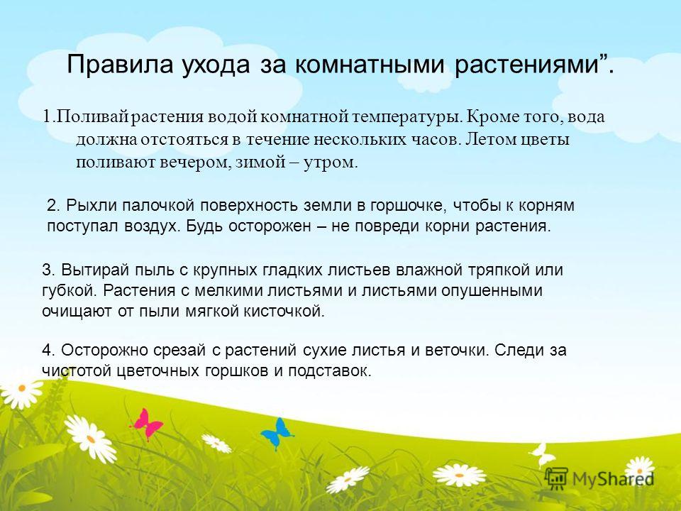 Доклад по уходу за растениями Доклад по уходу за растениями