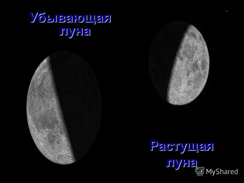 Как выглядит убывающий месяц Убывающая или растущая eCookie.ru