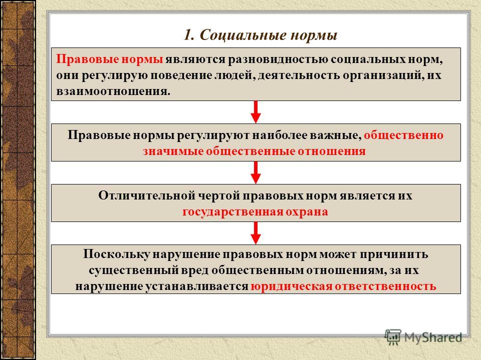 Реферат: Нормы права и другие социальные нормы