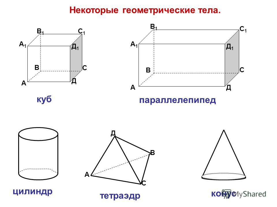 Некоторые геометрические тела. А В С Д Д1Д1 С1С1 В1В1 А1А1 куб А В С Д А1А1 В1В1 С1С1 Д1Д1 параллелепипед А В С Д тетраэдр цилиндр конус