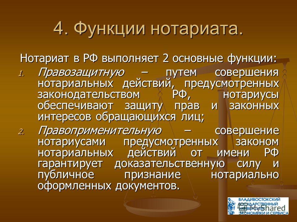 популярные комнатные растения