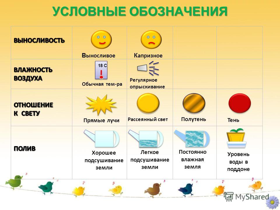 Нимфоманка (2014) смотреть онлайн или скачать фильм через Название для мастер-класса правополушарного рисования О