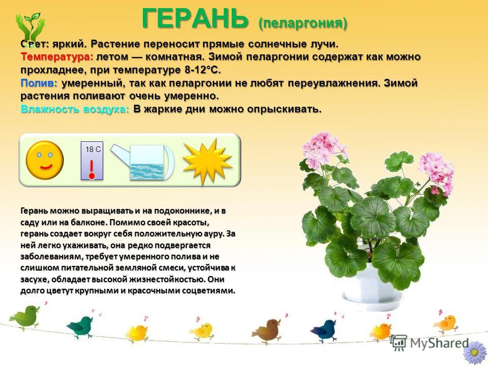 Строгое отношение к ребенку Строгое отношение к ребенку
