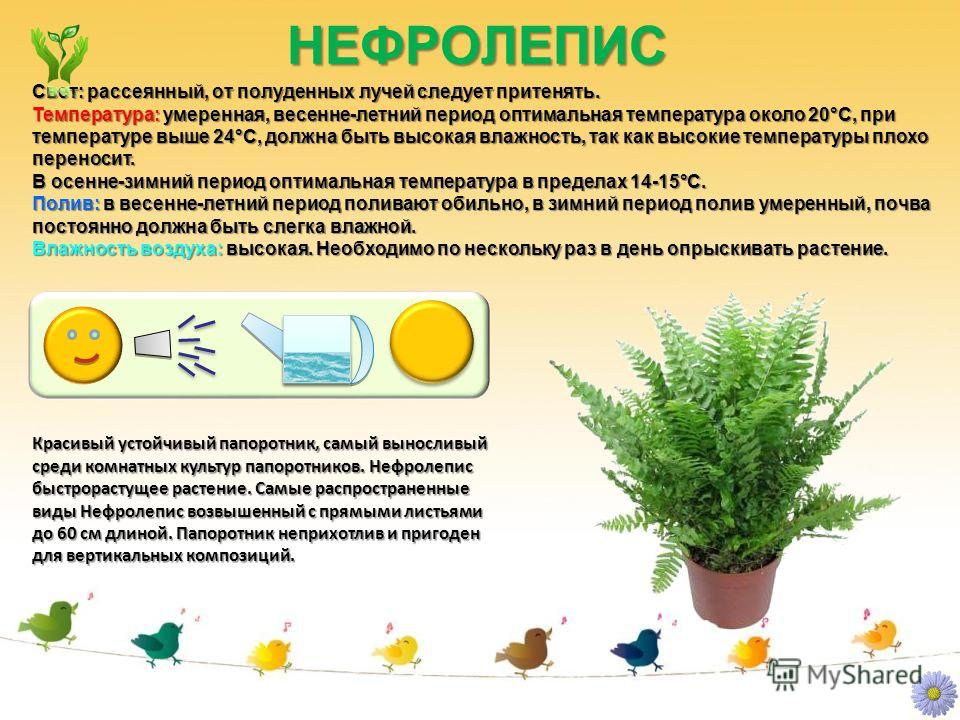 Мастер классы по люневильской вышивке Мастер классы по люневильской вышивке