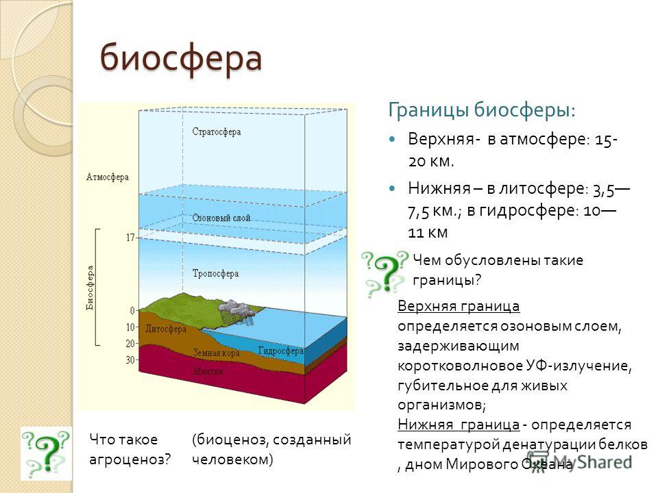 Границы Биосферы Рисунок