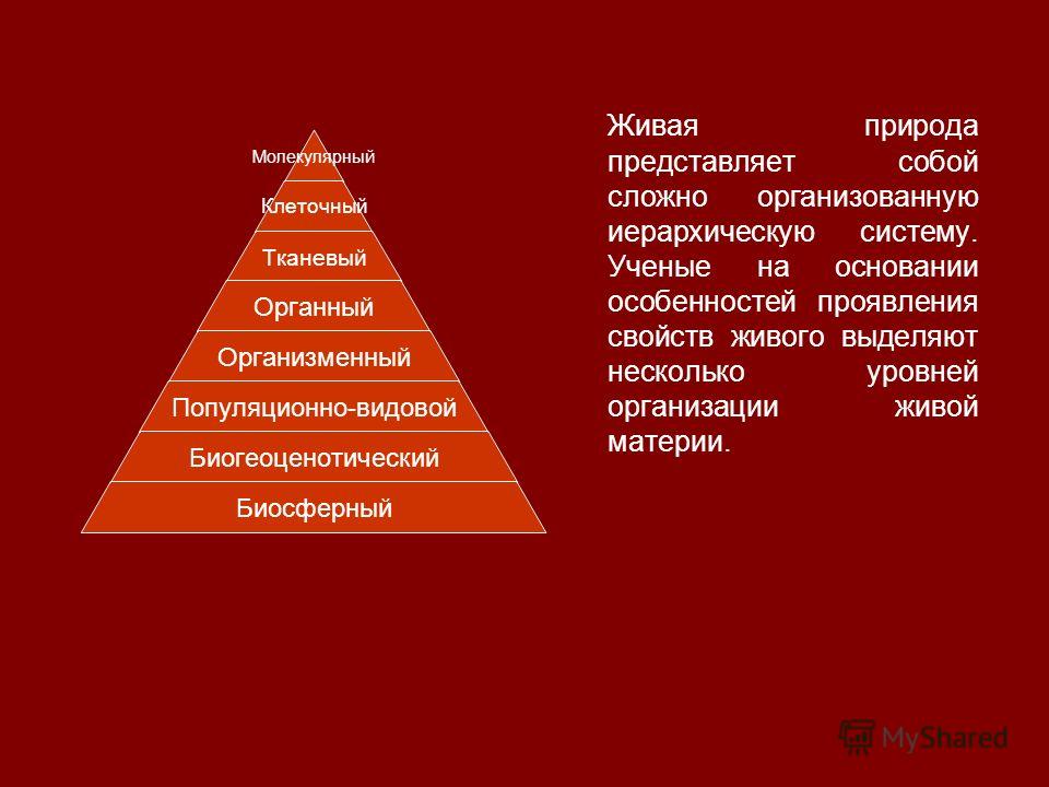 Ученые природа картинки Ученые природа картинки