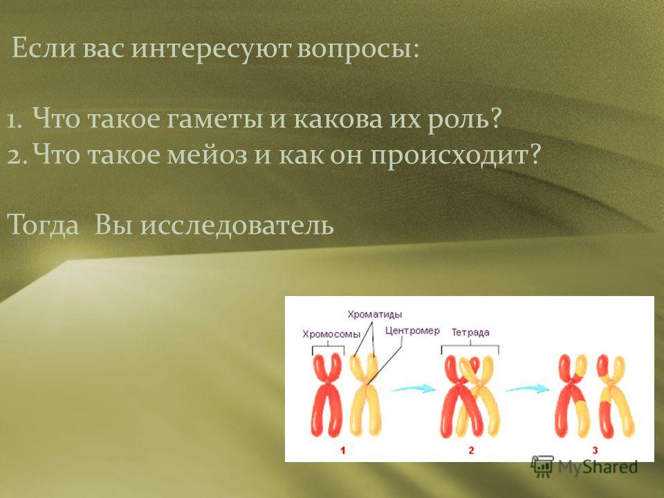 Как сделать схему исследования Как сделать схему исследования