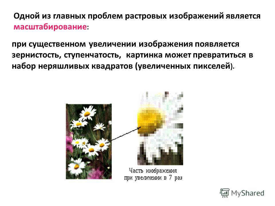 Презентация на тему: "Виды компьютерной графики Подготовила: студентка 1курса гр
